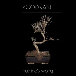 Zoodrake - Nothing`s Wrong